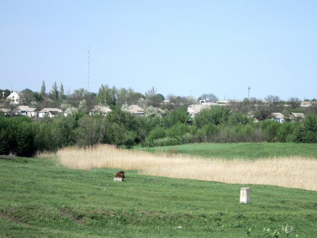 Перчунове з panoramio.com - Перчунове