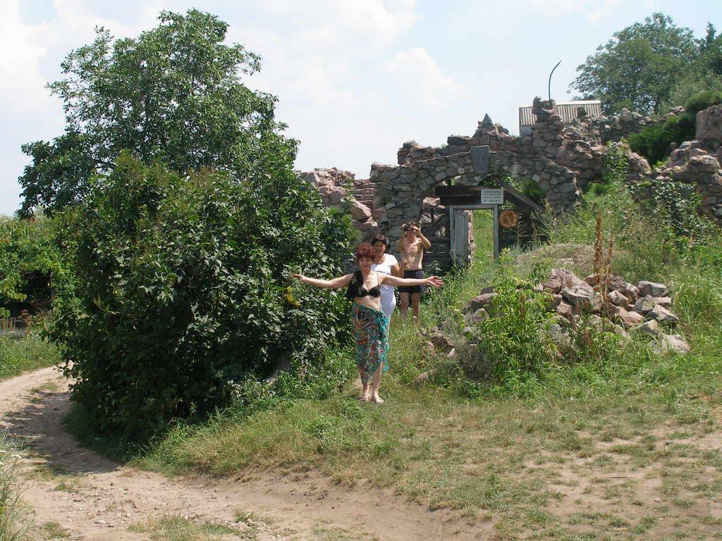 Дніпровське з panoramio.com - Дніпровське