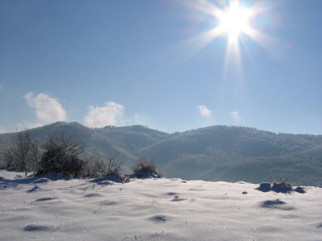 Хмелів з panoramio.com - Хмелев