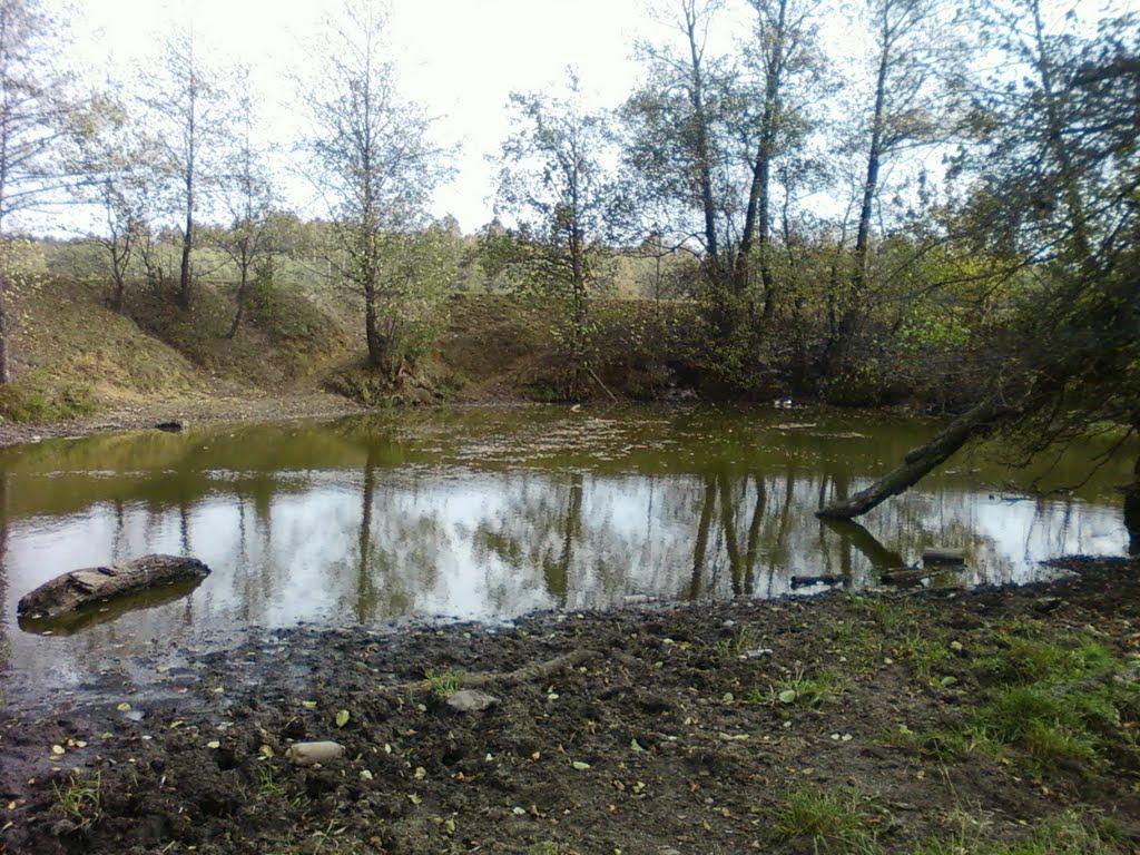 Павлівка з panoramio.com - Павлівка