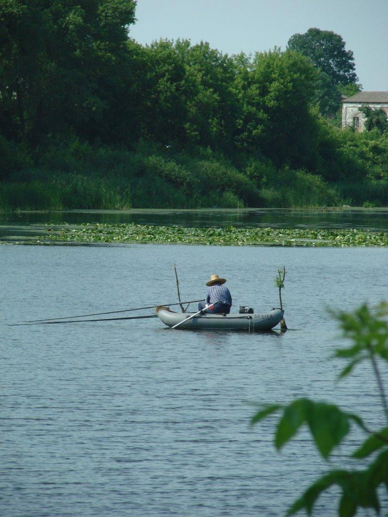 Требухівці з panoramio.com - Требуховцы