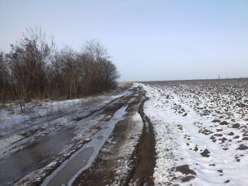 Миколаївське з panoramio.com - Николаевское