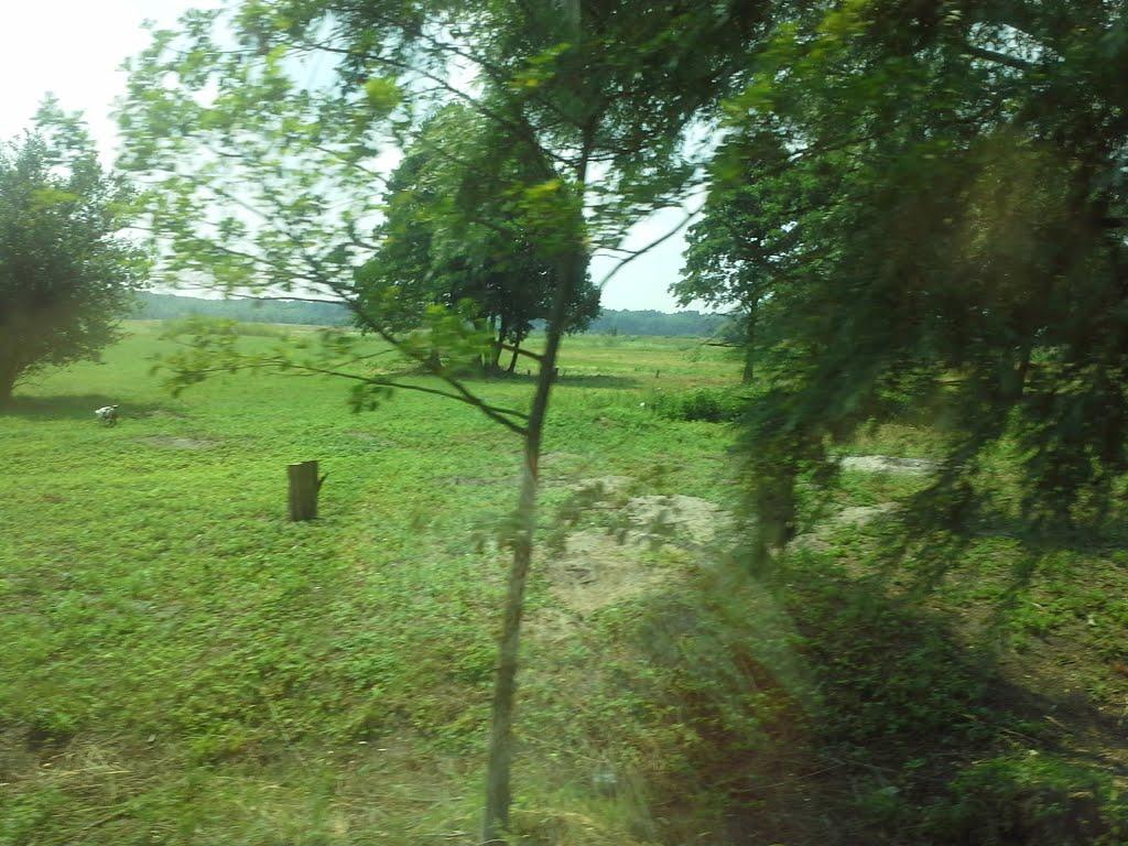 Гайове з panoramio.com - Гайове