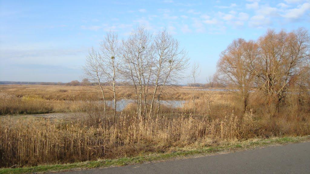 Проців з panoramio.com - Процев