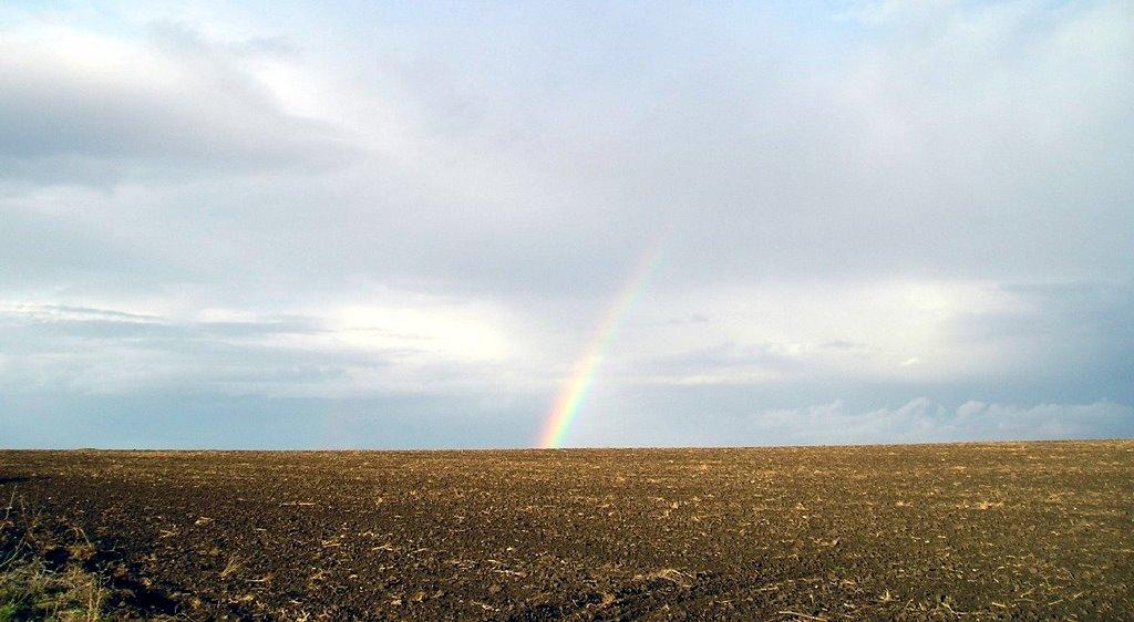 Світле з panoramio.com - Светлое