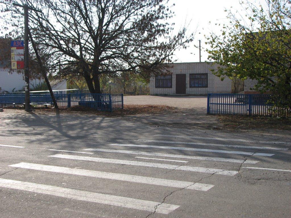 Куцеволівка з panoramio.com - Куцеволівка