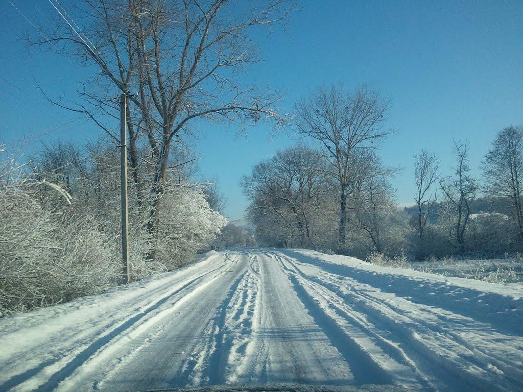 Саранчуки з panoramio.com - Саранчуки