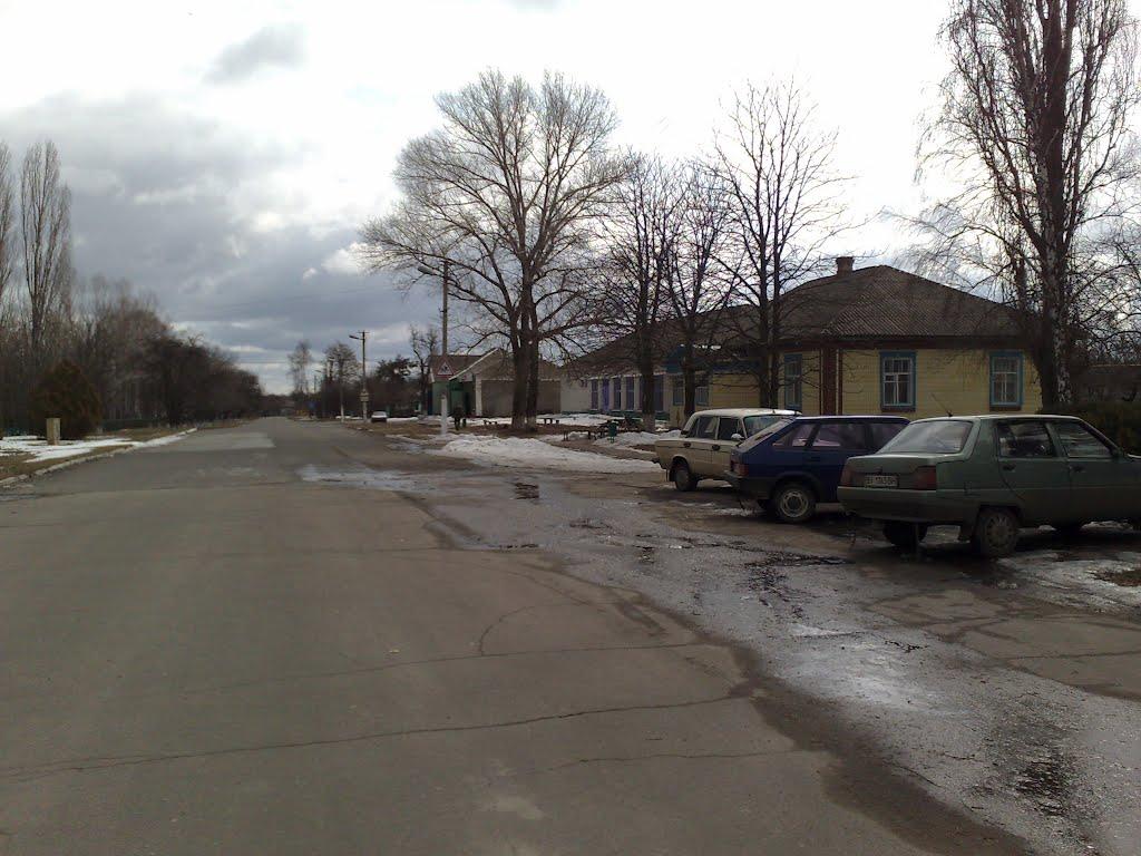 Максимівка з panoramio.com - Максимівка