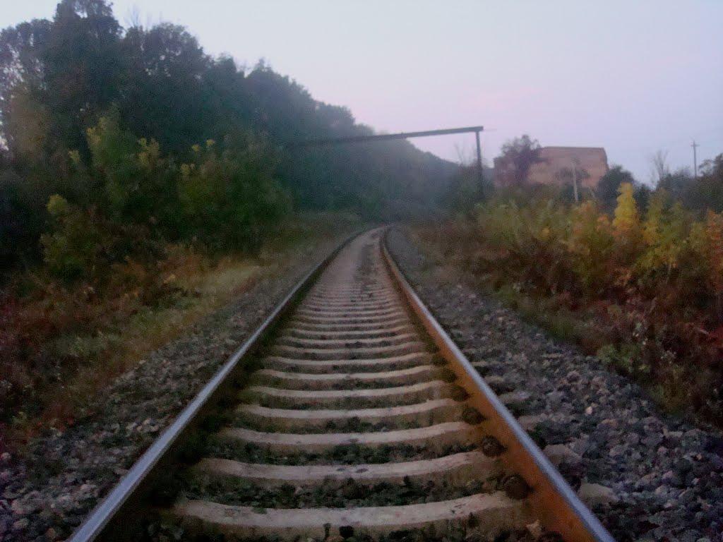 Городок з panoramio.com - Городок