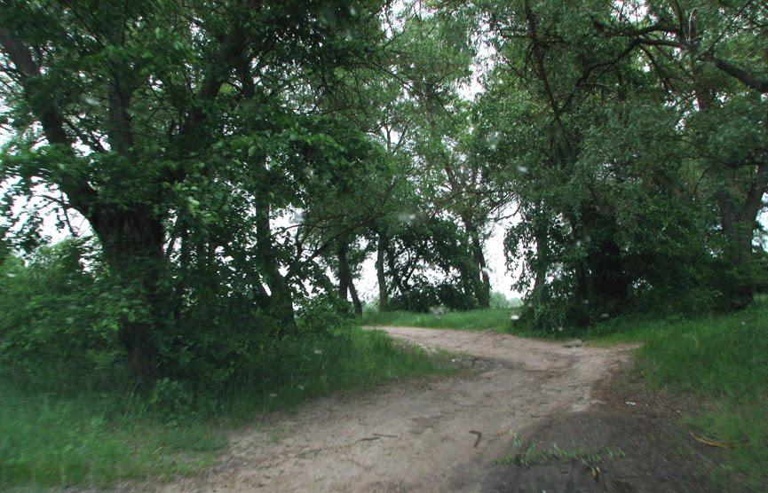 Шилівка з panoramio.com - Шиловка