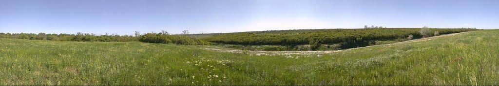 Світле з panoramio.com - Светлое