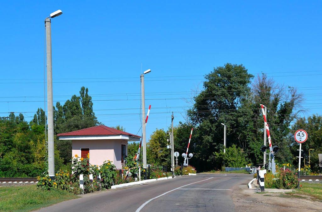 Марківці з panoramio.com - Марковцы
