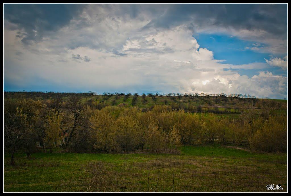 Великі Сади з panoramio.com - Великі Сади