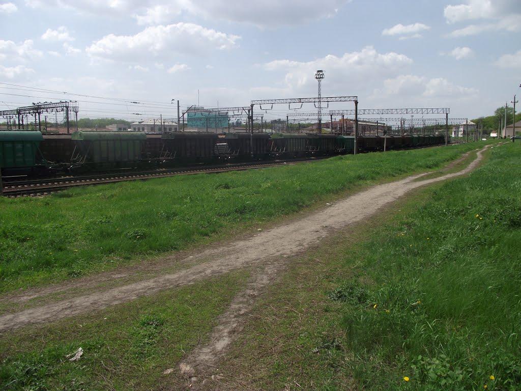 Знам'янка з panoramio.com - Знам'янка