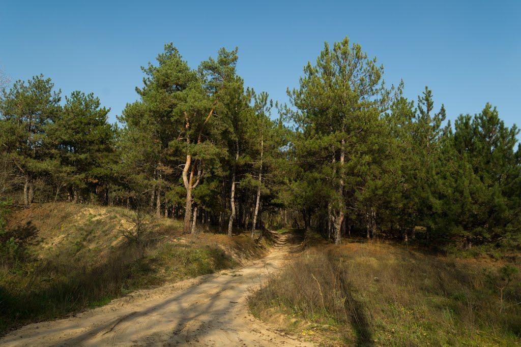 Розумівка з panoramio.com - Разумовка