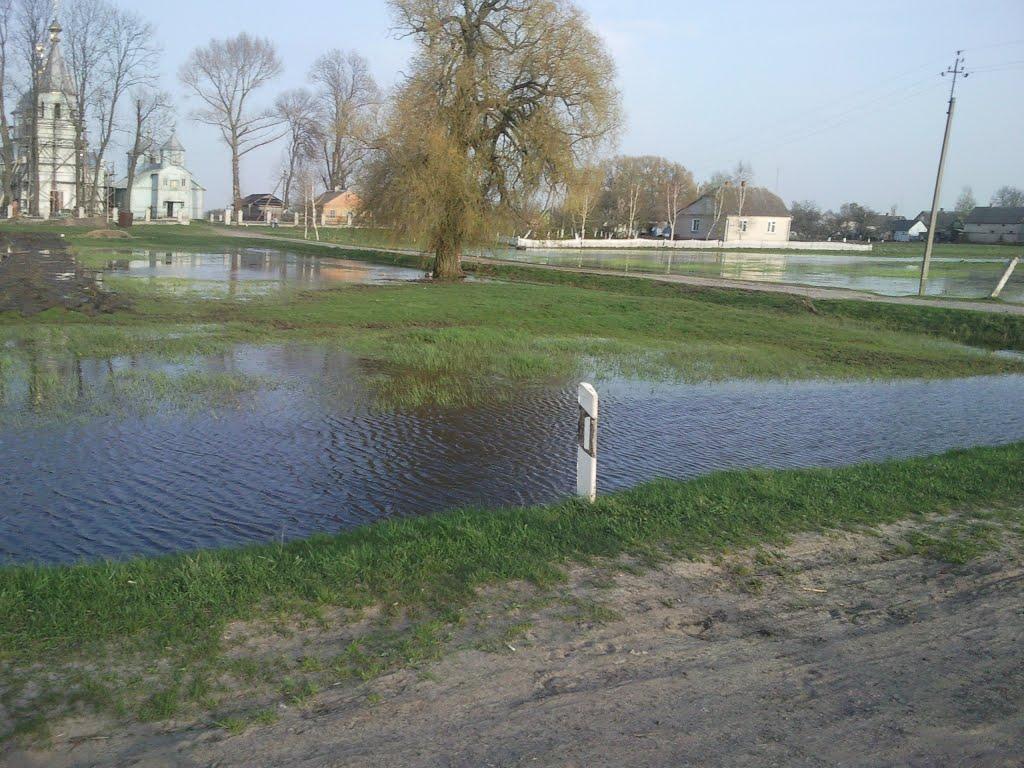 Борохів з panoramio.com - Борохів