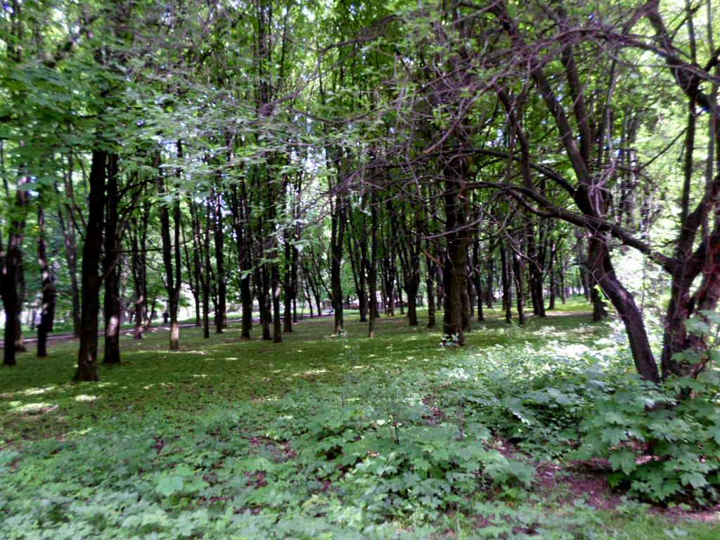 парки - Стрый