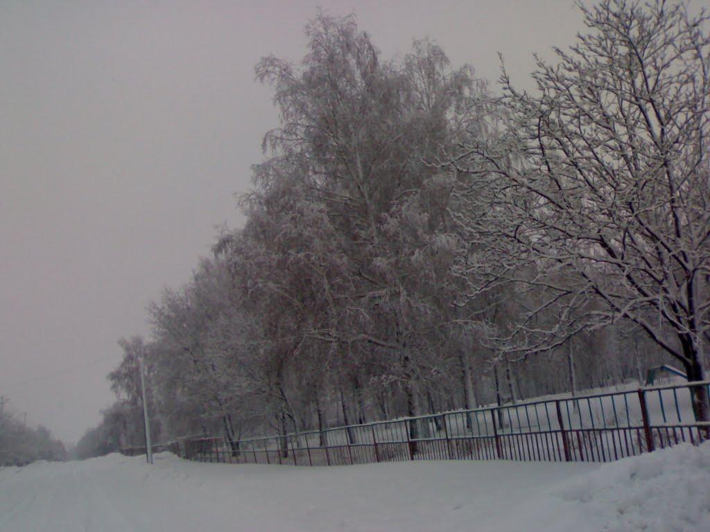 Куянівка з panoramio.com - Куянівка