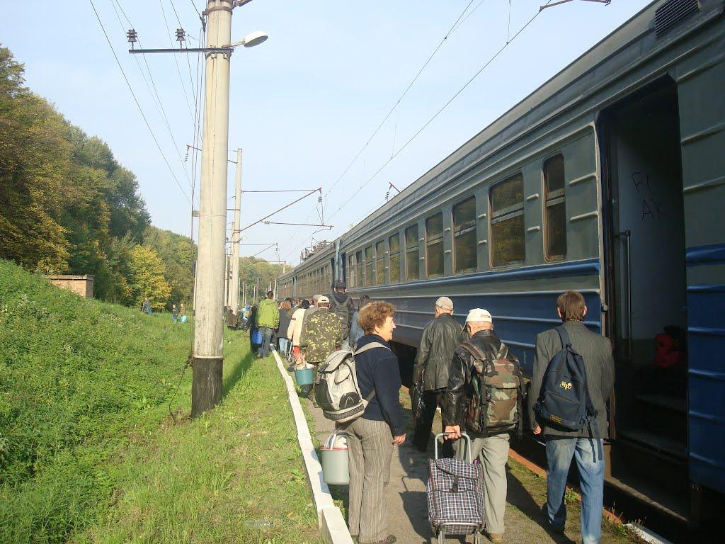 Березове з panoramio.com - Березове
