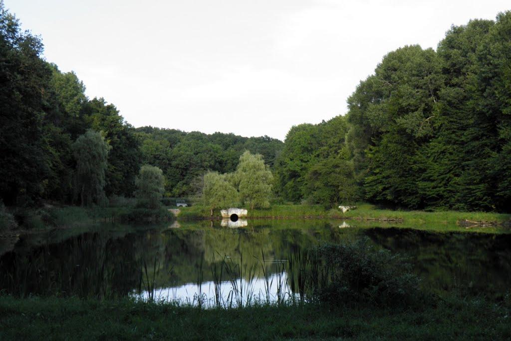 Верхівка з panoramio.com - Верховка
