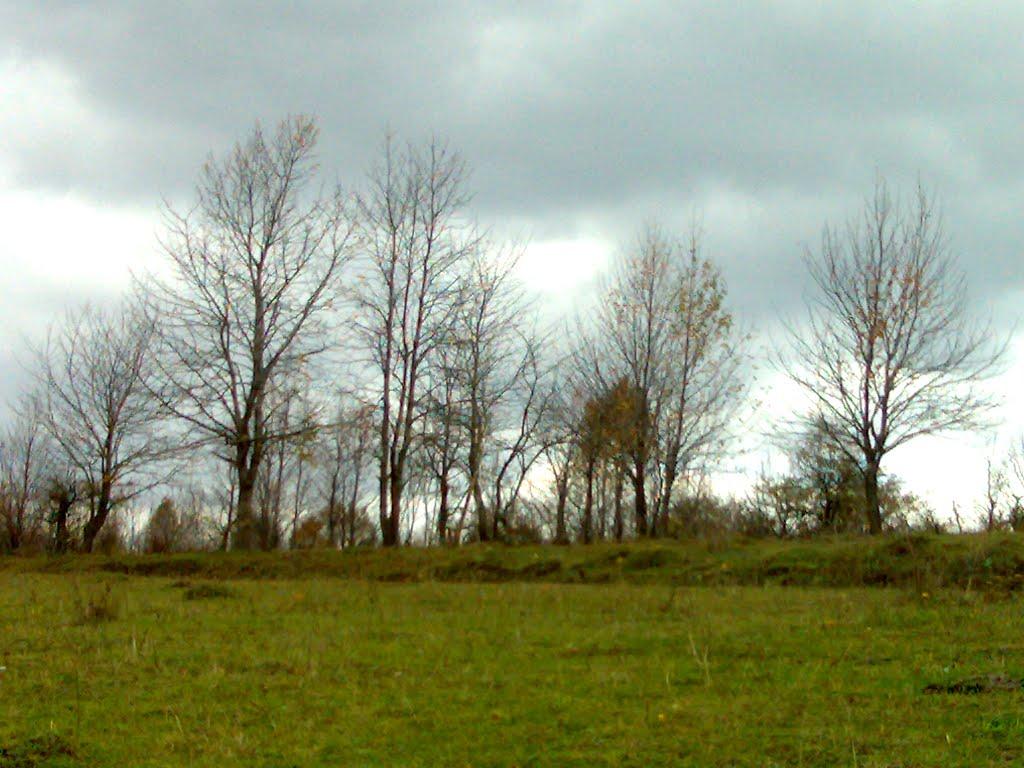 Вихрівка з panoramio.com - Вихрівка