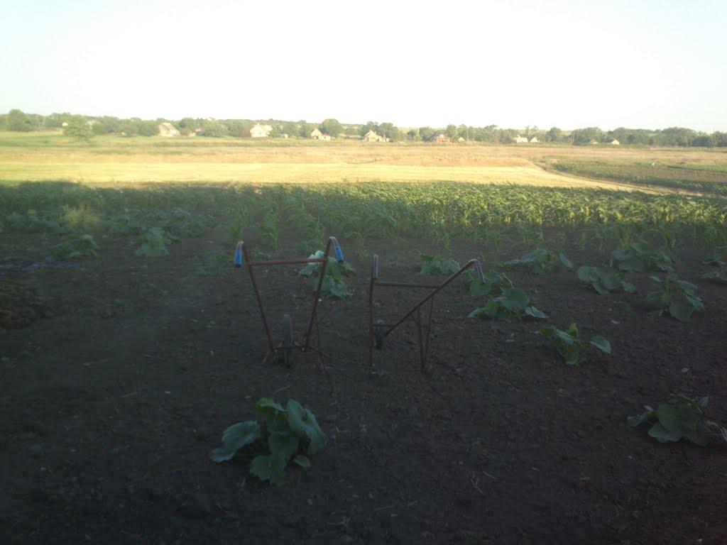 Вячеславка з panoramio.com - Вячеславка