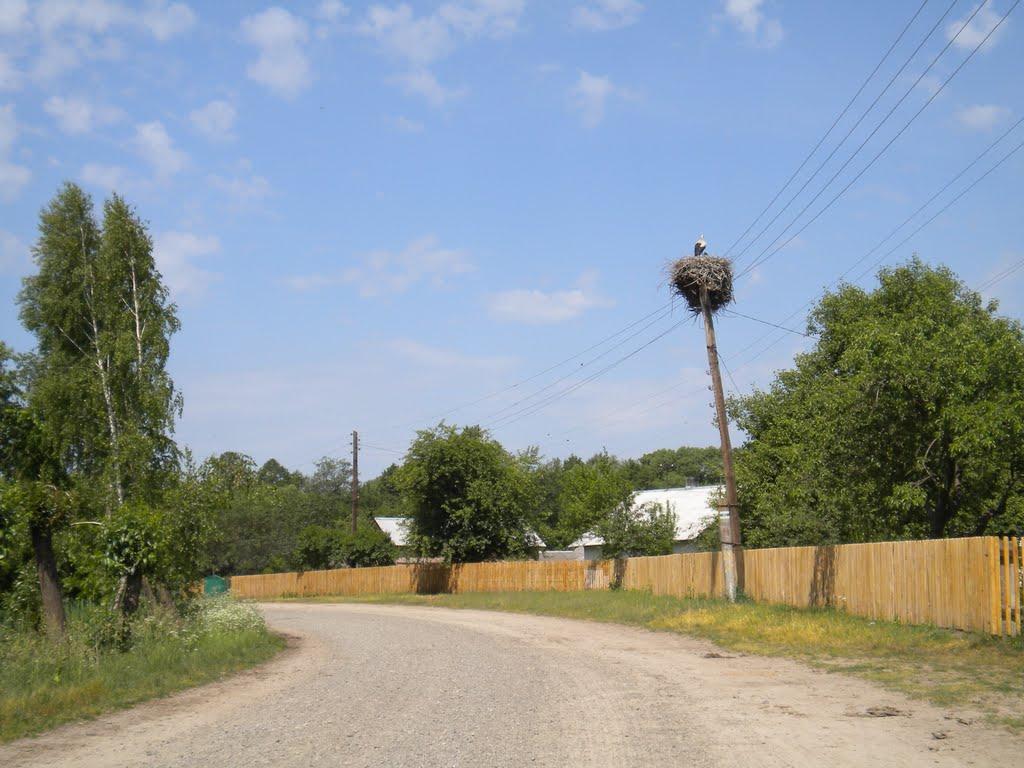 Руда-Крехівська з panoramio.com - Ruda-Krekhivska