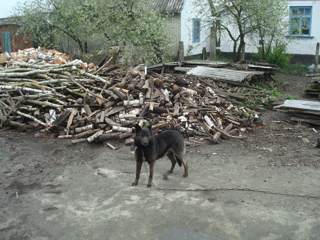 Дроздні з panoramio.com - Дроздни