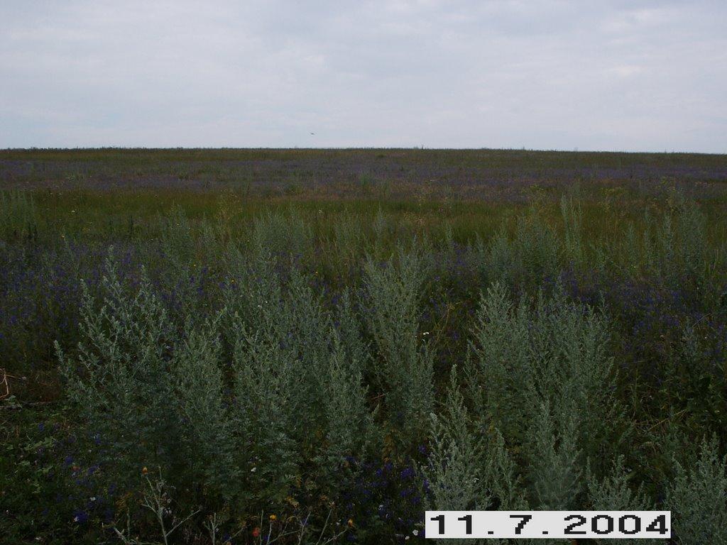 Нова Шибка з panoramio.com - Новая Шибка