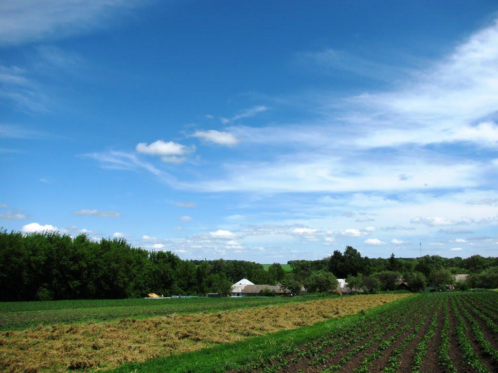 Олексіївка з panoramio.com - Олексіївка