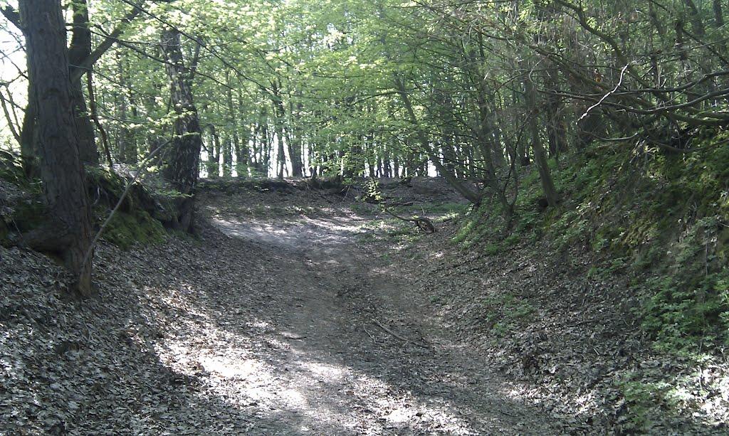 Воротнів з panoramio.com - Воротнів