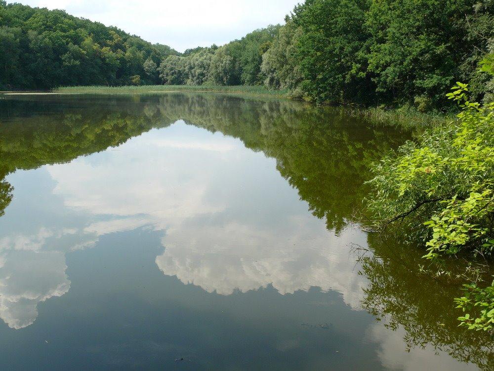 Суха Гомільша з panoramio.com - Сухая Гомольша