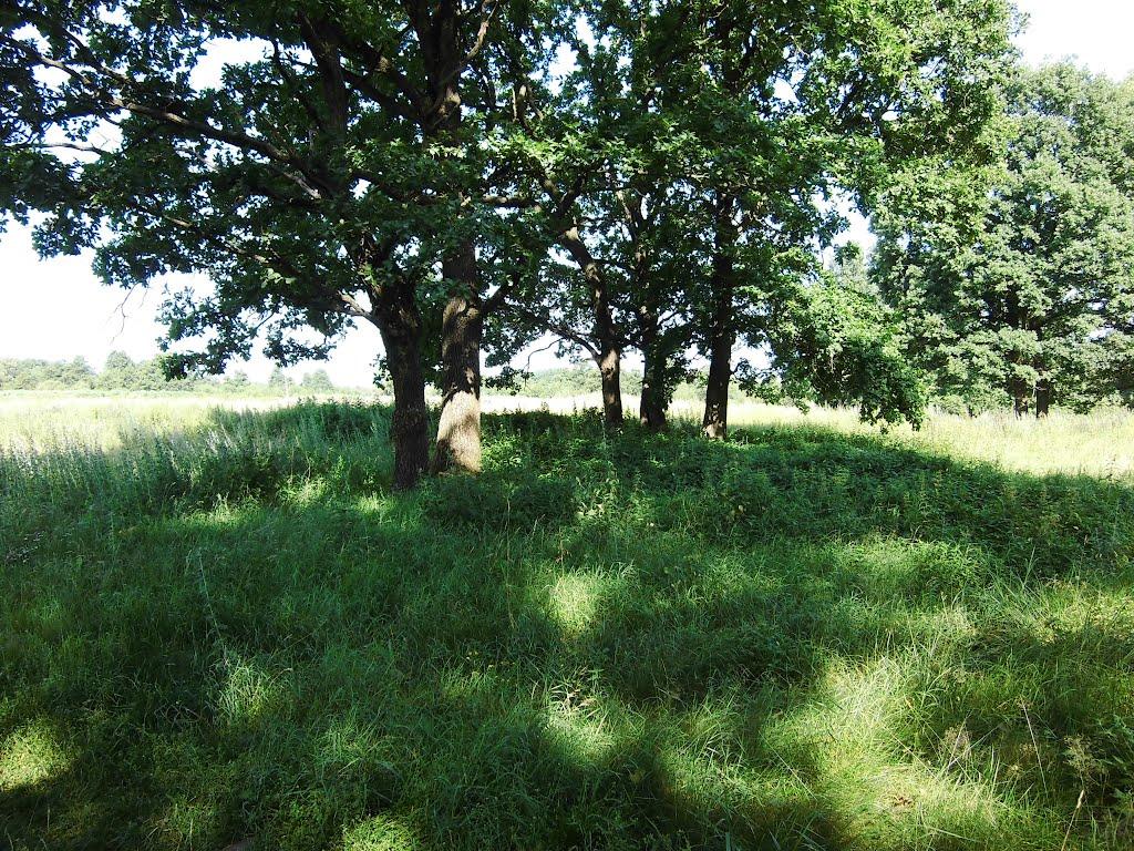 Ганнусине з panoramio.com - Аннусино