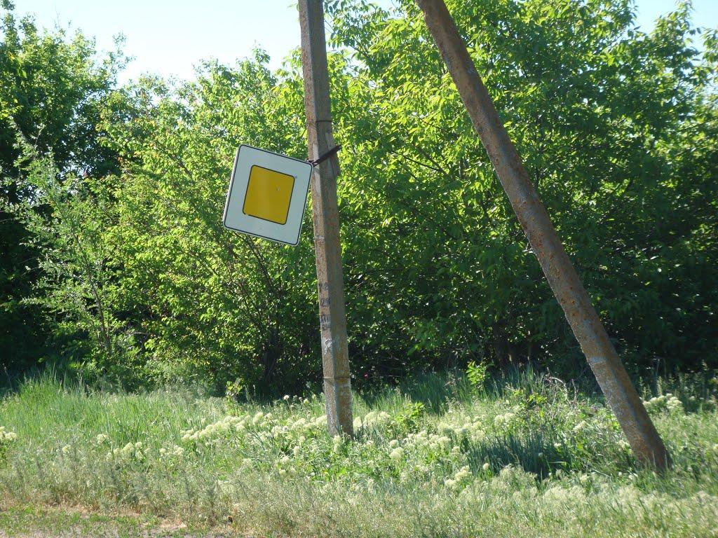 Очеретувате з panoramio.com - Очеретувате