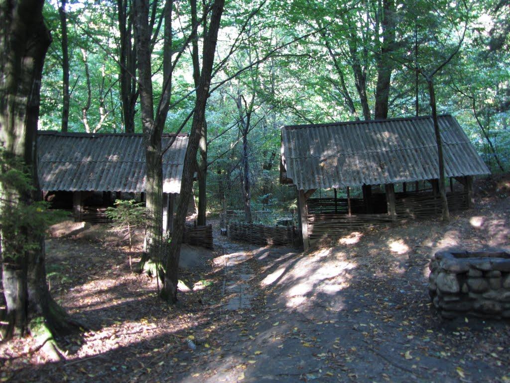 Підгір'я з panoramio.com - Подгорье