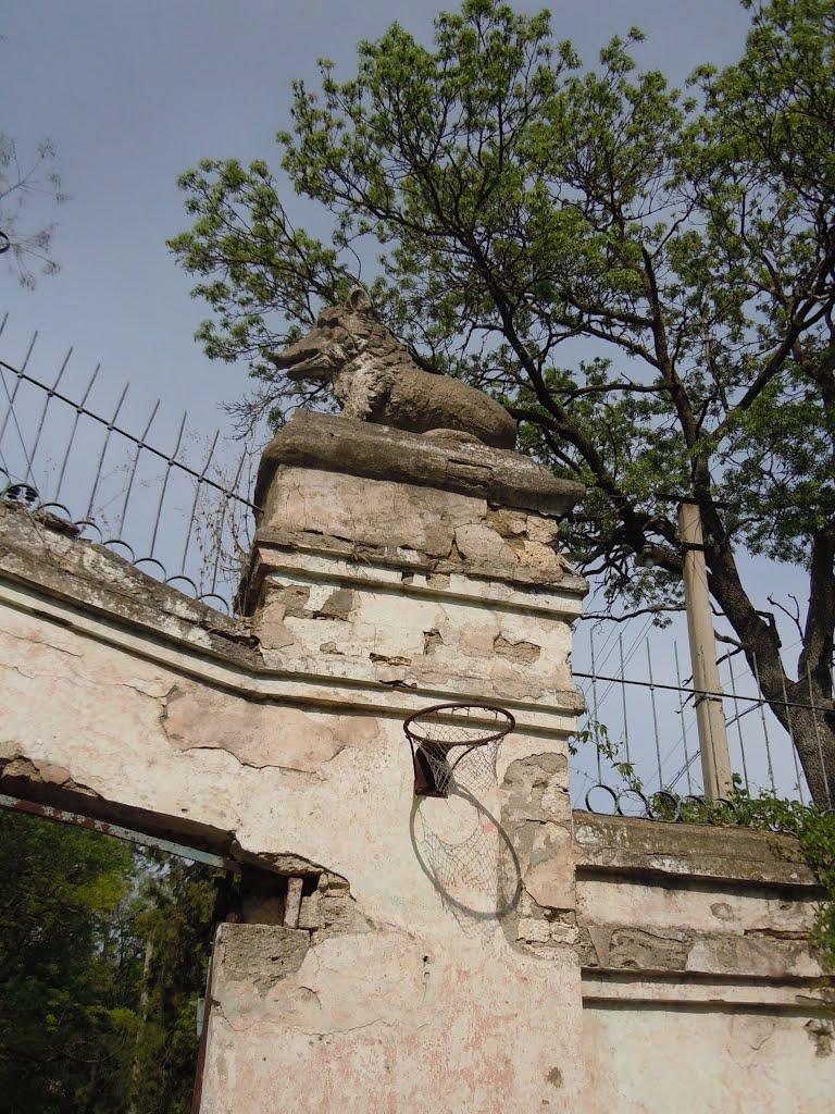 Заводівка з panoramio.com - Заводівка