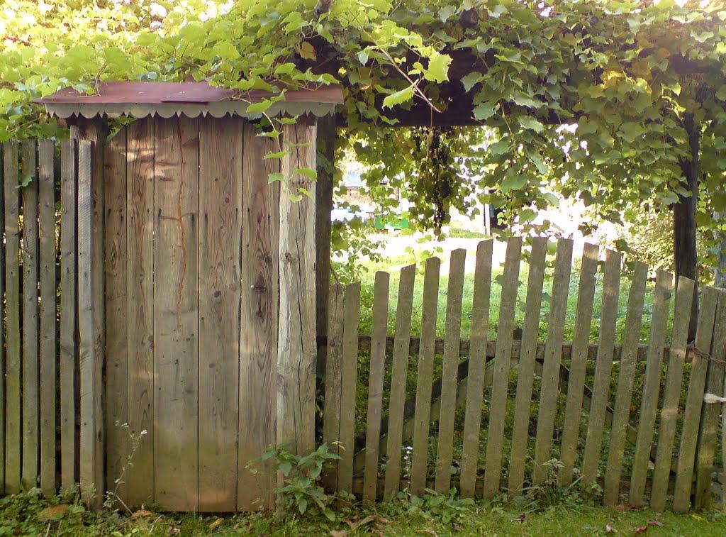 Дуляби з panoramio.com - Дулябы