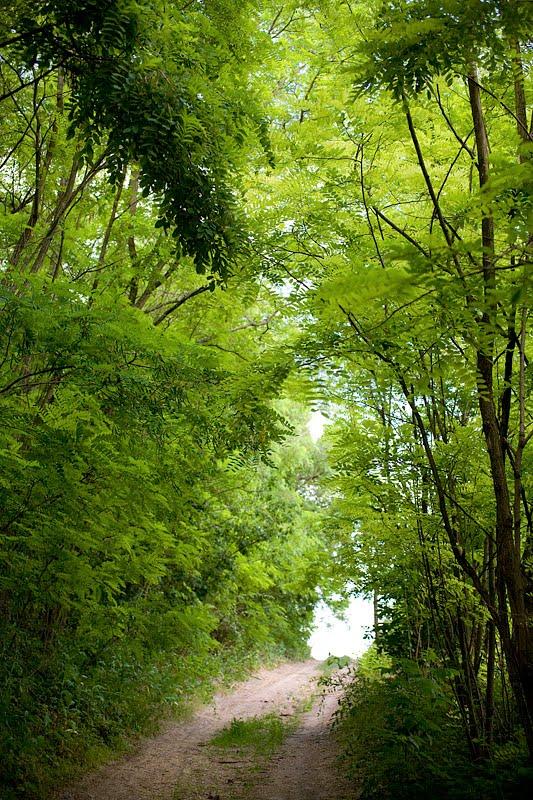 Барахти з panoramio.com - Барахти