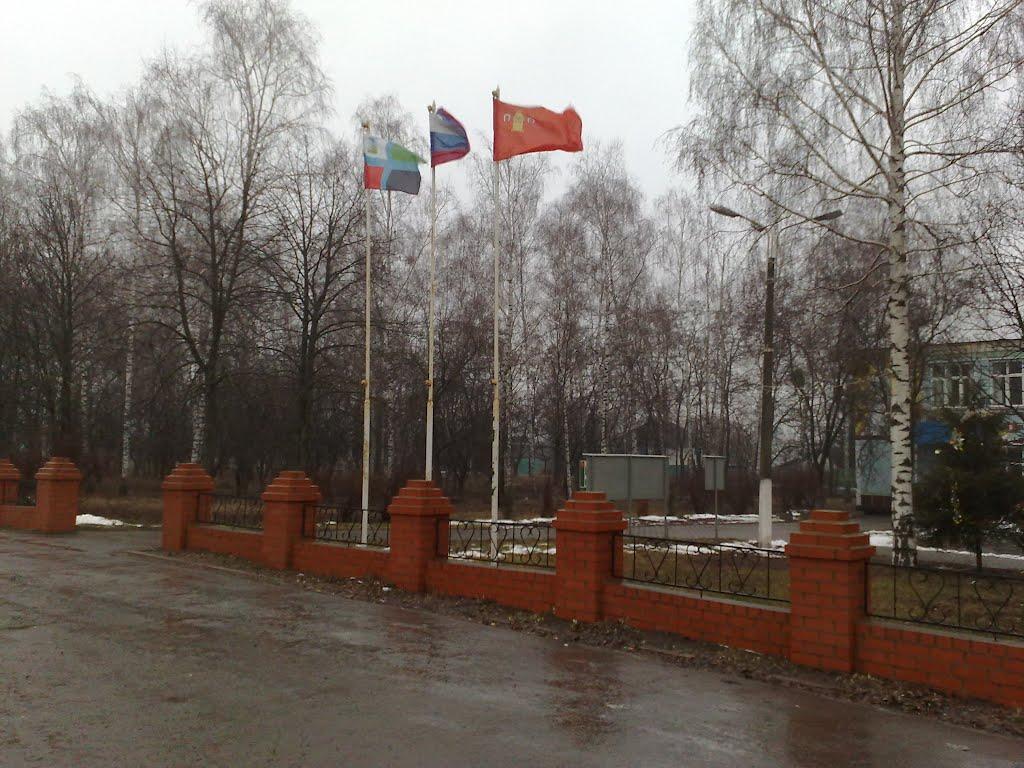 Рибалкине з panoramio.com - Рыбалкино