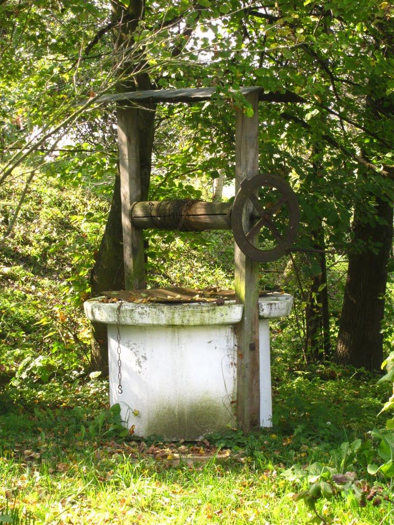 Торговиця з panoramio.com - Торговиця