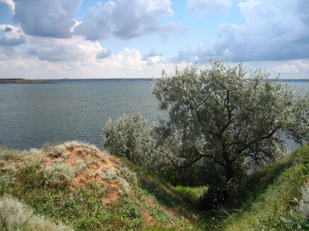 Лимани з panoramio.com - Лимани