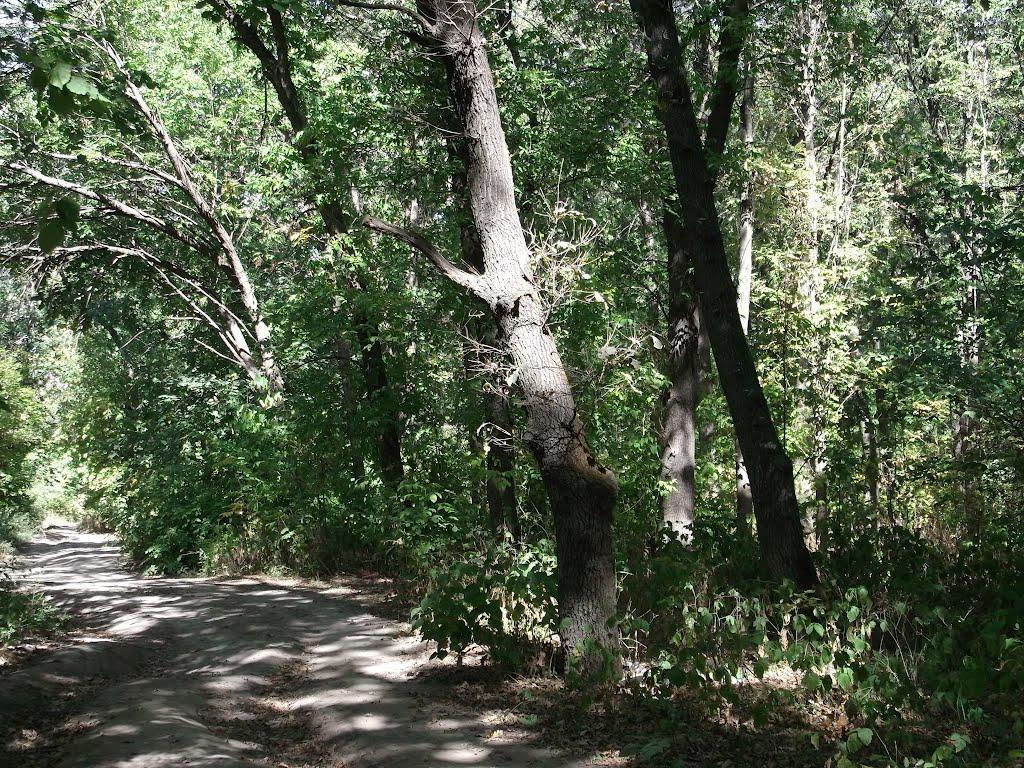 Троїцьке з panoramio.com - Троицкое