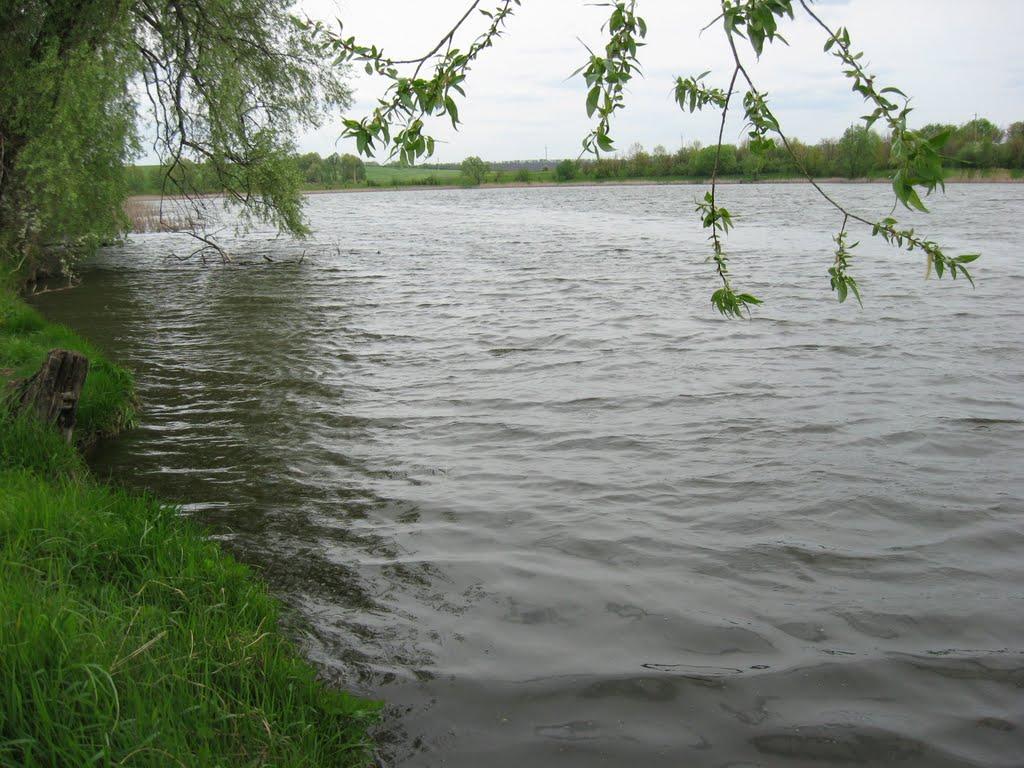 Петренкове з panoramio.com - Петренкове