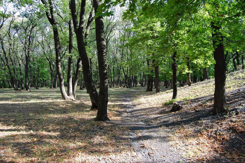 Карло-Марксове з panoramio.com - Карло-Марксово