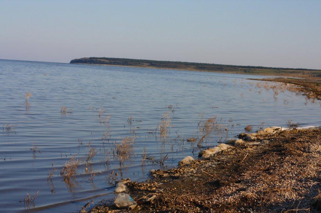 Шелюги з panoramio.com - Шелюги