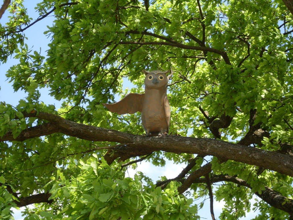 Балівка з panoramio.com - Балівка
