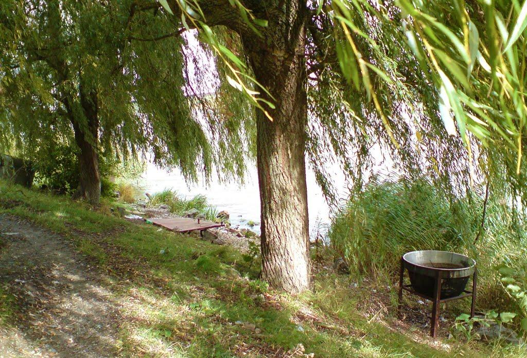 Бережани з panoramio.com - Бережаны