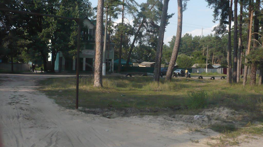 Десна з panoramio.com - Десна