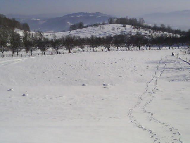 Яблунівка з panoramio.com - Яблунівка