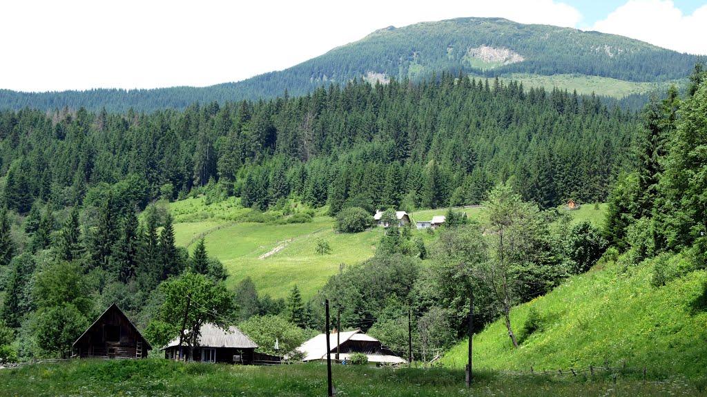 Буркут з panoramio.com - Буркут